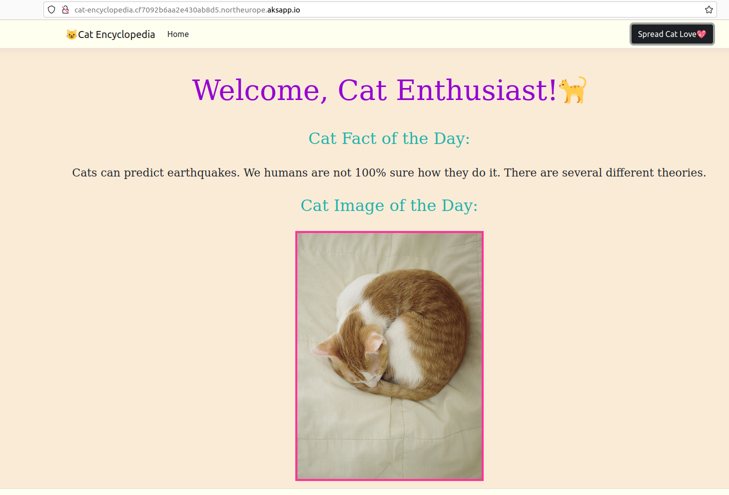 Screenshot of a working ASP.NET Cat Encyclopedia application on Chiseled Ubuntu Containers
