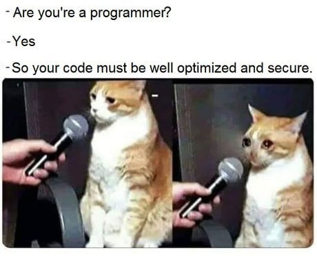 Meme about secure code requirement from a programmer