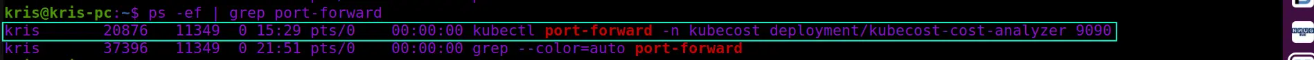 Screenshot of the ps command output that lists currently active processes that contain port-forward keyword